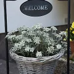 Hotel Garni Fiegl 3*