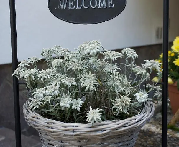 Отель Garni Fiegl 3*