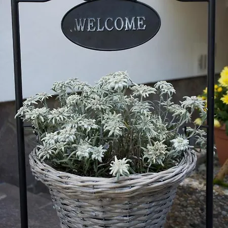 酒店 伽尼费格公寓酒店 3*